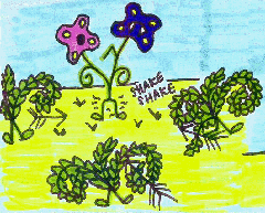 arrowstalk-4.jpg (64198 bytes)