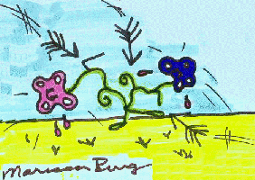 arrowstalk-5.jpg (43956 bytes)