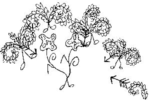 firedup-2.jpg (26131 bytes)